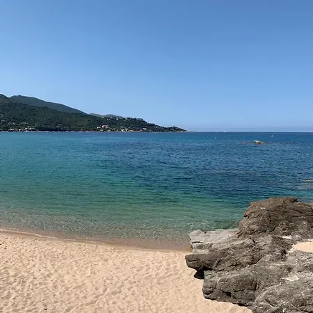 55m With Terrace And Mountain View! Calcatoggio (Corsica)